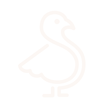 TaskPigeonLogo